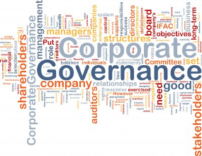 corporate governance image